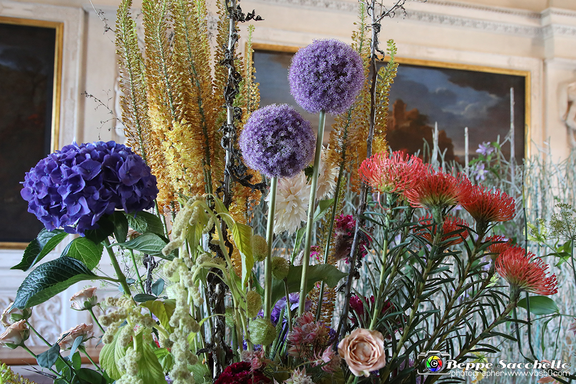 VBS_0167 - Corollaria Flower Exhibition 2022.jpg